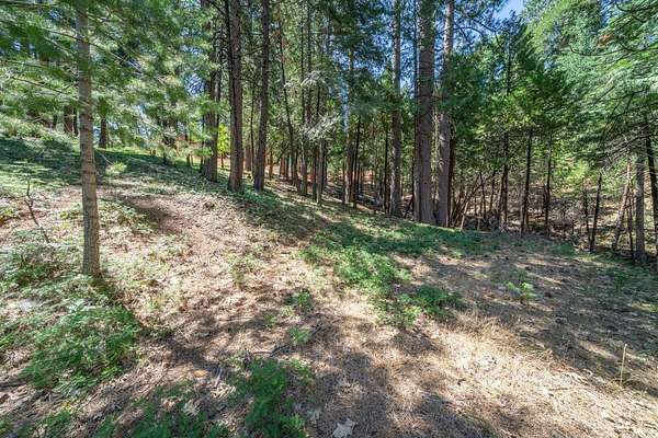 0.45 Acres of Residential Land for Sale in Arnold, California