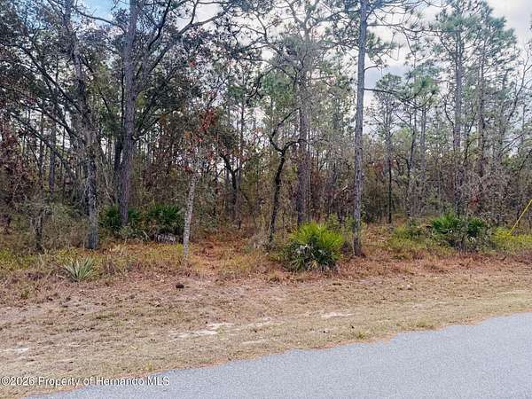 0.5 Acres of Land for Sale in Weeki Wachee, Florida