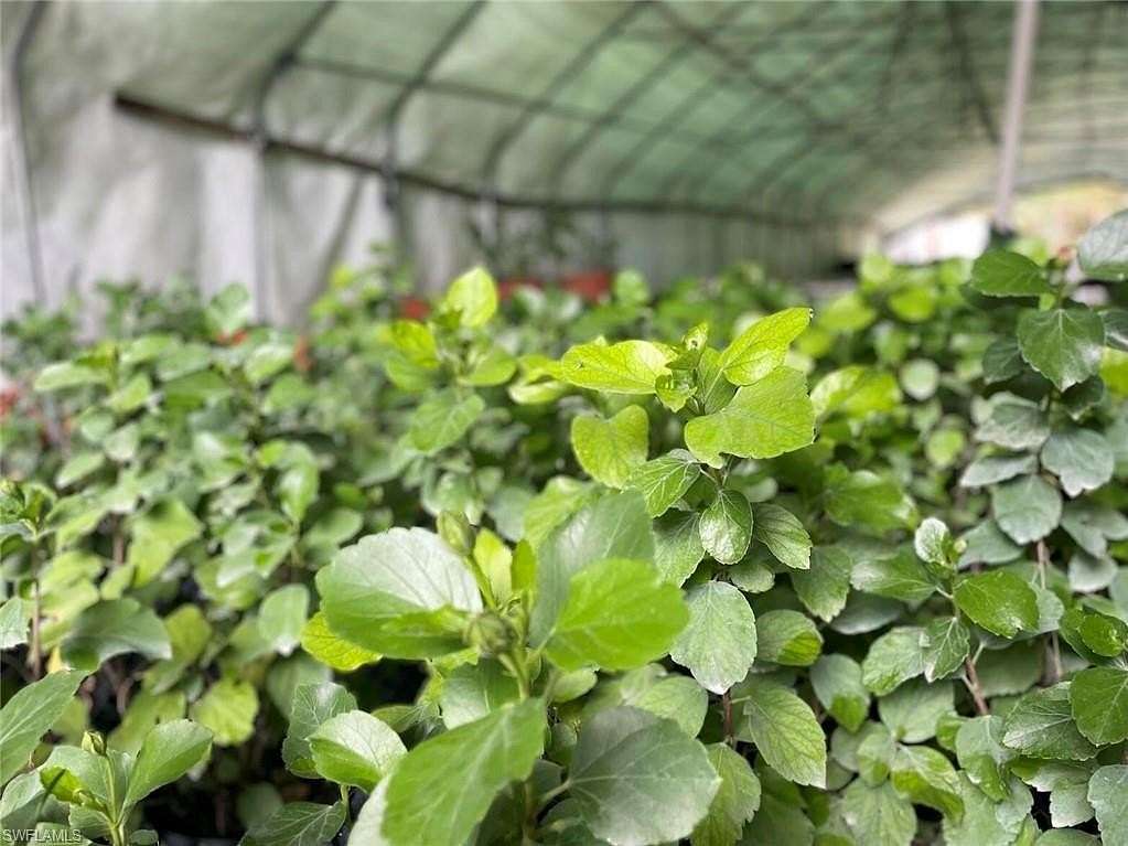 5 Acres of Residential Land for Sale in Naples, Florida