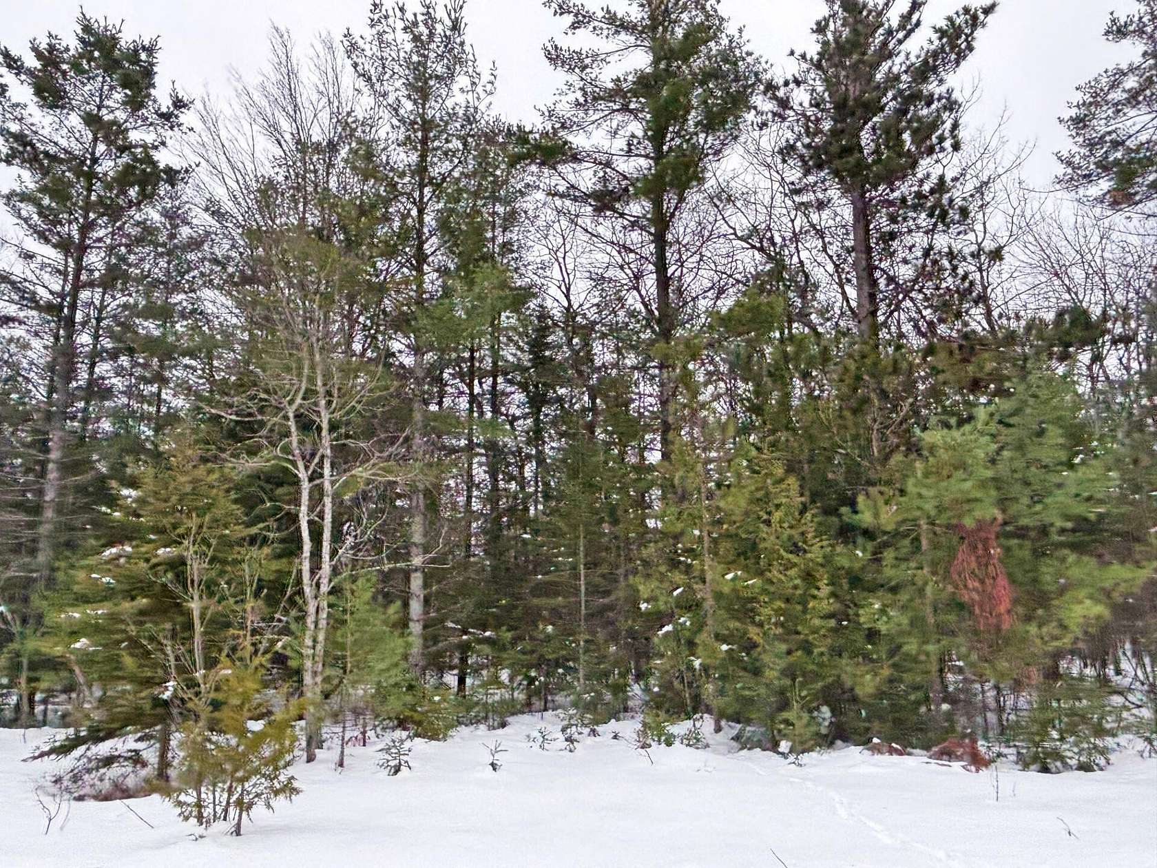 0.35 Acres of Residential Land for Sale in Presque Isle, Michigan