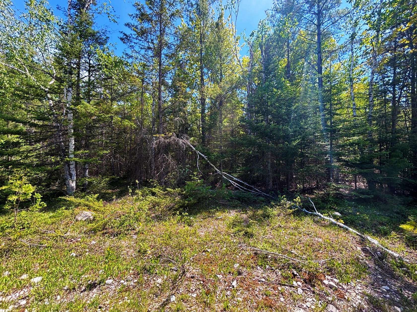 0.35 Acres of Residential Land for Sale in Presque Isle, Michigan
