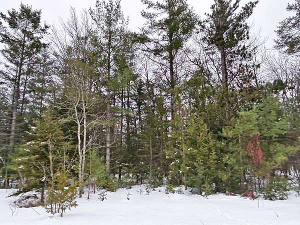 0.35 Acres of Residential Land for Sale in Presque Isle, Michigan