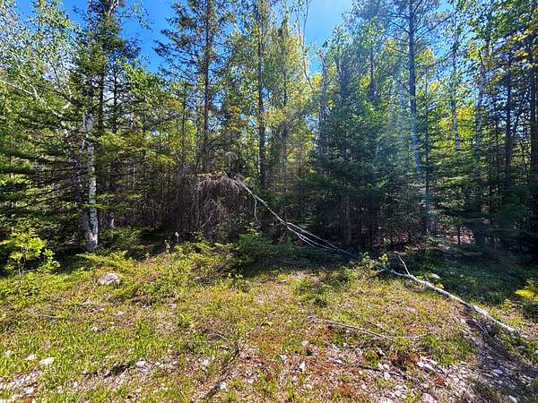 0.35 Acres of Residential Land for Sale in Presque Isle, Michigan