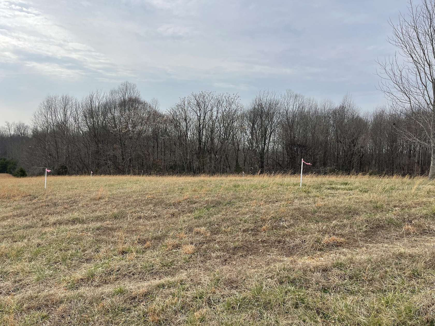 2 Acres of Residential Land for Sale in Lafayette, Tennessee