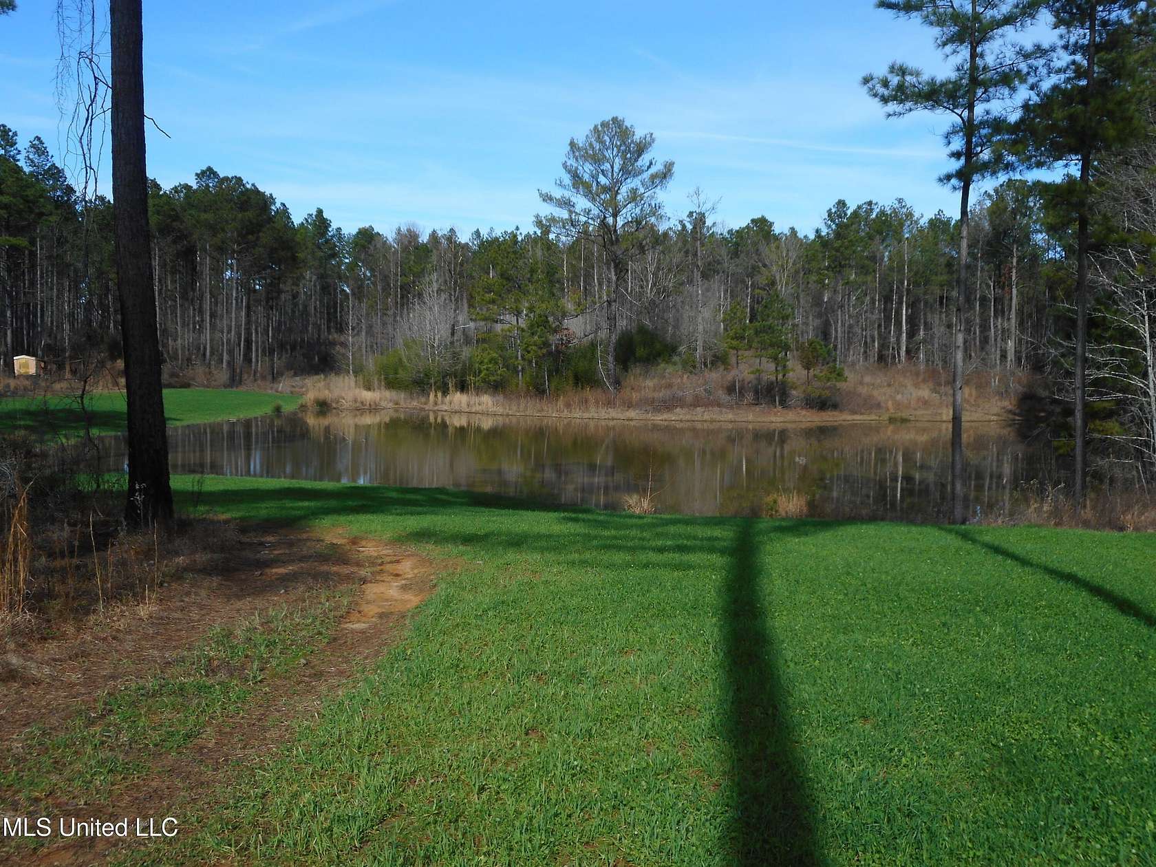 224 Acres of Recreational Land for Sale in Pickens, Mississippi
