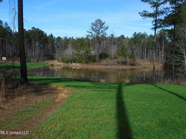 224 Acres of Recreational Land for Sale in Pickens, Mississippi