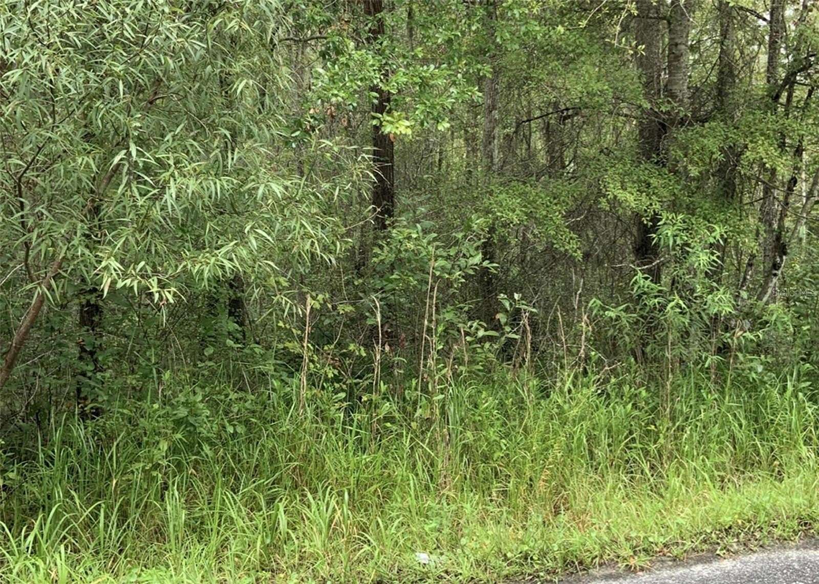 8 Acres of Residential Land for Sale in Alachua, Florida