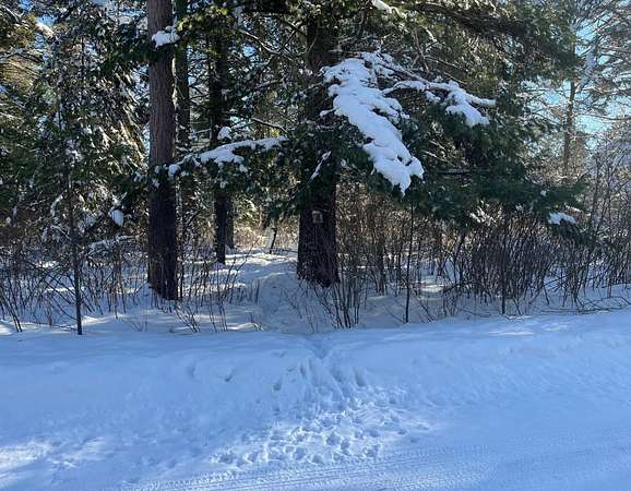 1.5 Acres of Residential Land for Sale in Sayner, Wisconsin