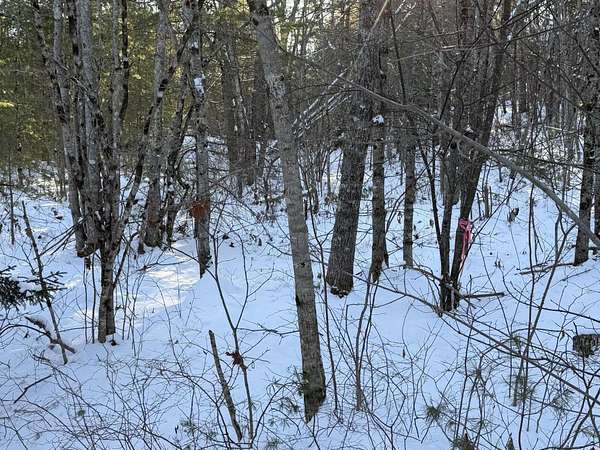 2 Acres of Residential Land for Sale in Bremen, Maine