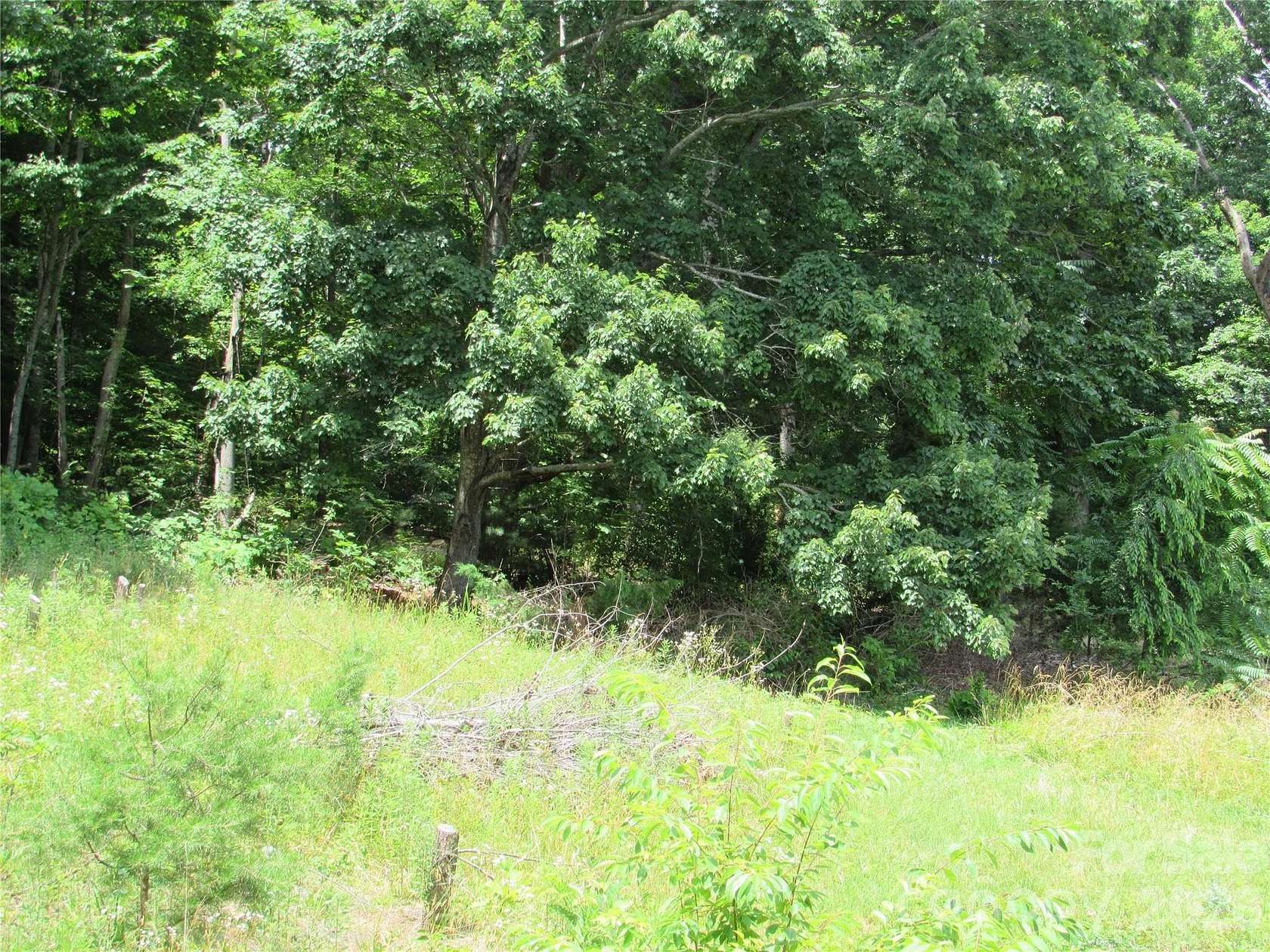 0.76 Acres of Land for Sale in Black Mountain, North Carolina