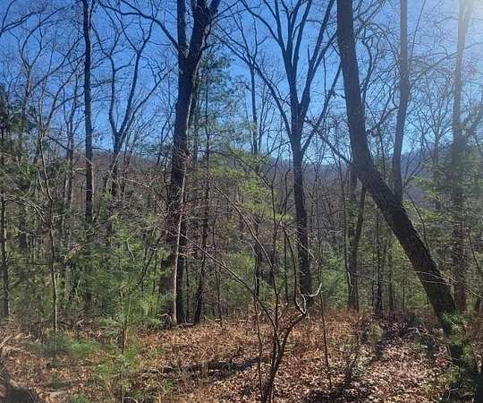 2.75 Acres of Residential Land for Sale in Hayesville, North Carolina