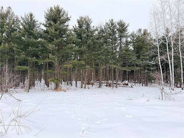 20 Acres of Recreational Land for Sale in Rice Lake, Wisconsin