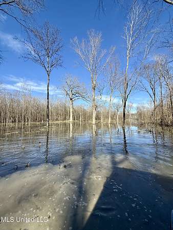 108 Acres of Recreational Land for Sale in Silver City, Mississippi