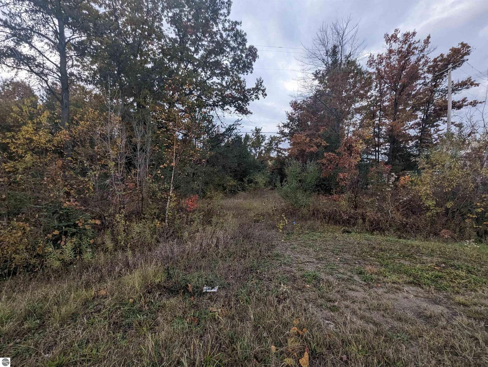 5.76 Acres of Land for Sale in Omer, Michigan