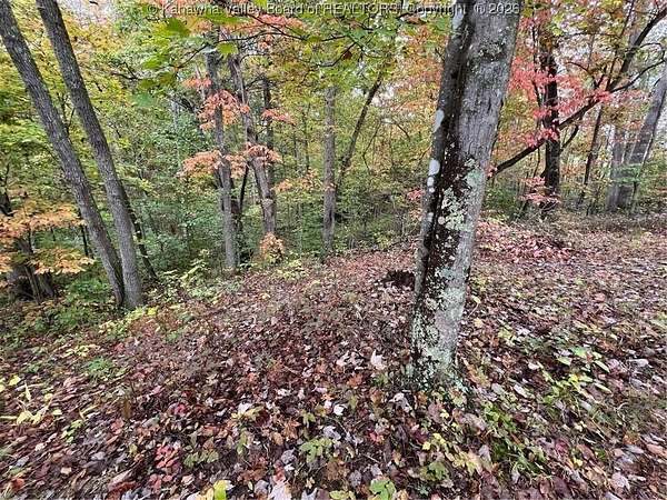 1.6 Acres of Residential Land for Sale in Winfield, West Virginia