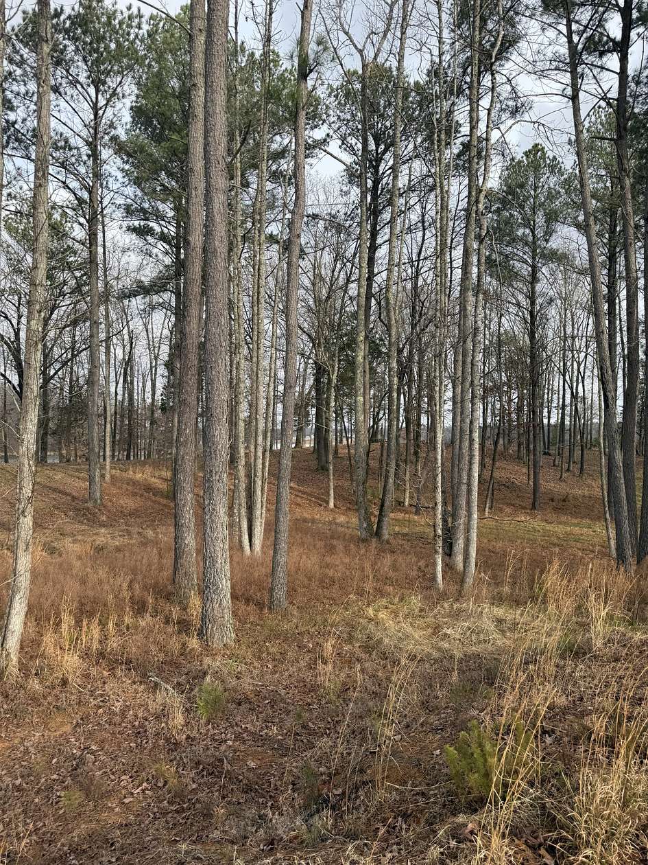 1 Acre of Residential Land for Sale in Huntingdon, Tennessee