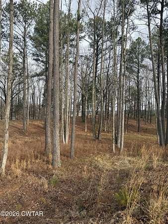 1 Acre of Residential Land for Sale in Huntingdon, Tennessee