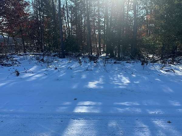 0.34 Acres of Residential Land for Sale in Harrison, Michigan