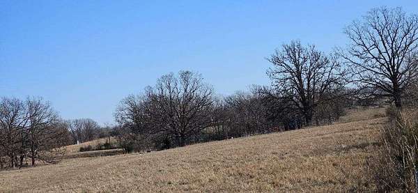 20 Acres of Recreational & Residential Land for Sale in Stockton, Missouri