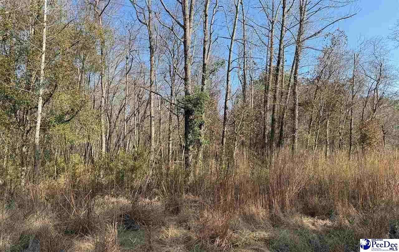 8 Acres of Land for Sale in Nichols, South Carolina