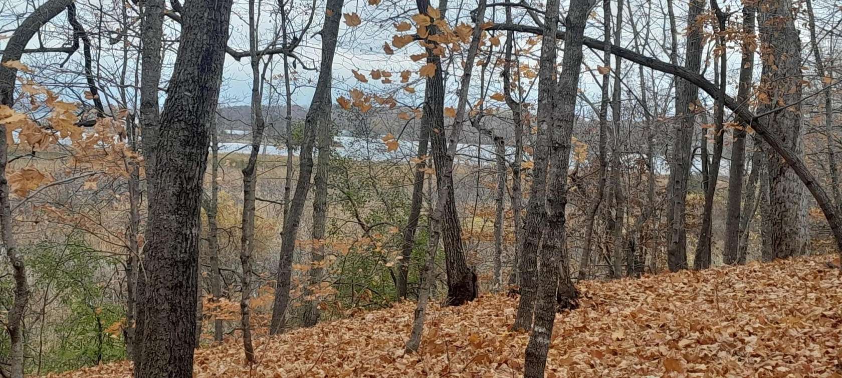 2.29 Acres of Land for Sale in Clitherall, Minnesota