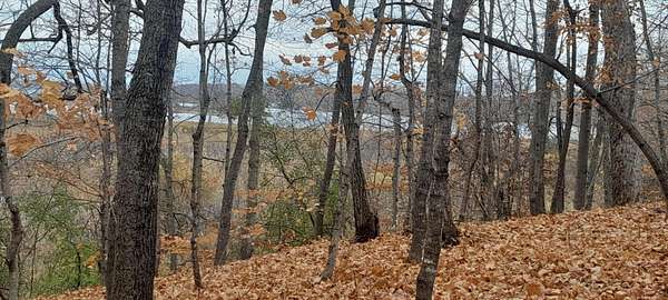 2.29 Acres of Land for Sale in Clitherall, Minnesota