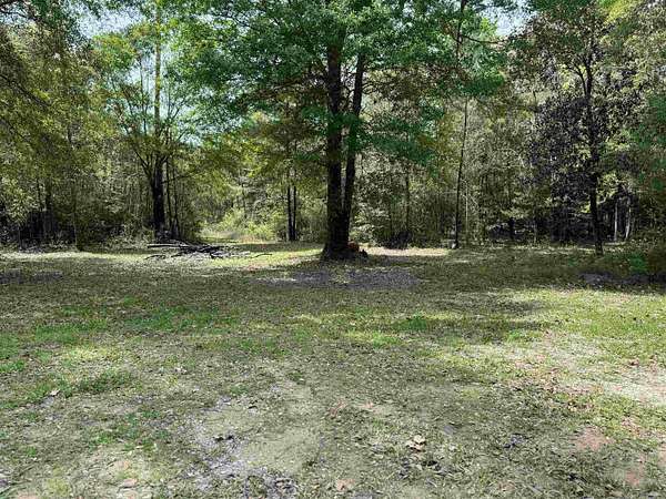 162 Acres of Recreational Land for Sale in Kountze, Texas