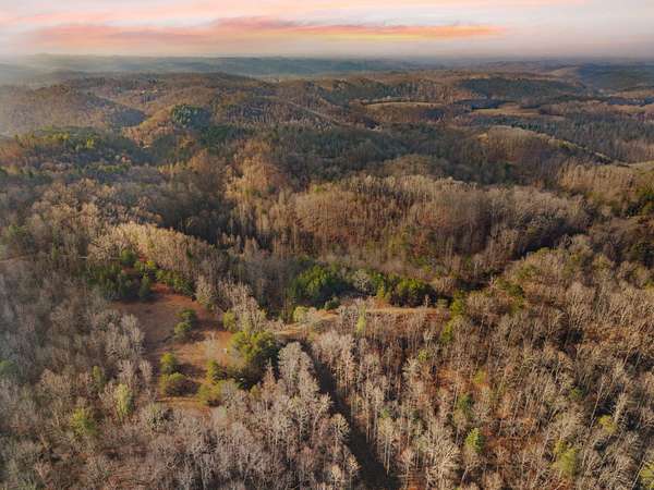 20 Acres of Recreational Land for Sale in Beattyville, Kentucky