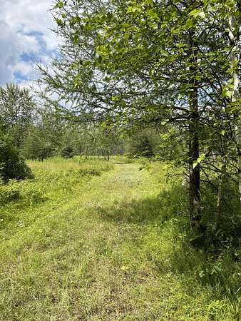 6.1 Acres of Residential Land for Sale in Laona, Wisconsin