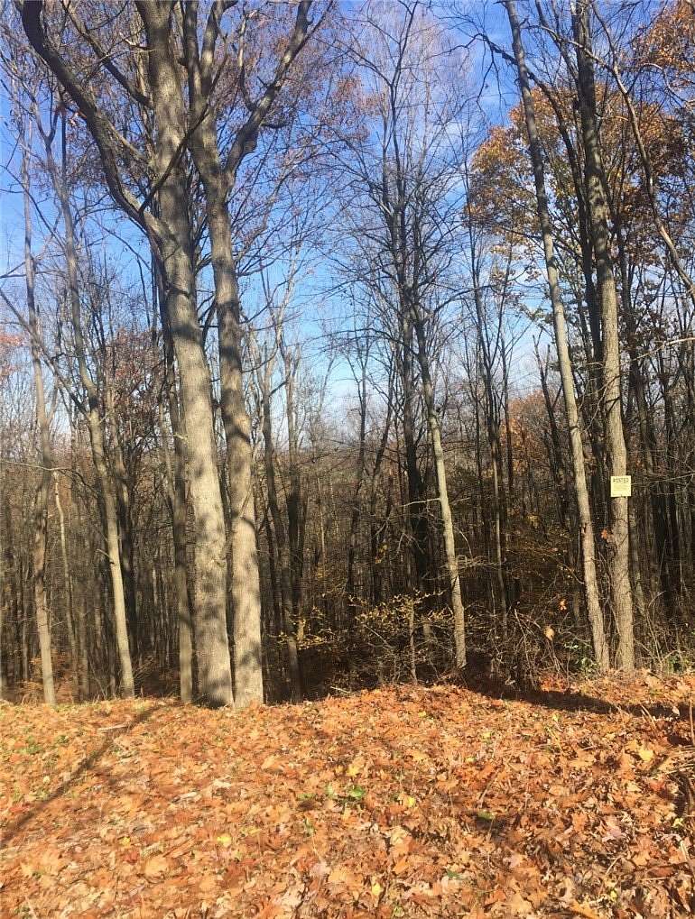 13.3 Acres of Land for Sale in Big Flats, New York