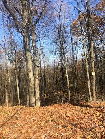 13.3 Acres of Land for Sale in Big Flats, New York