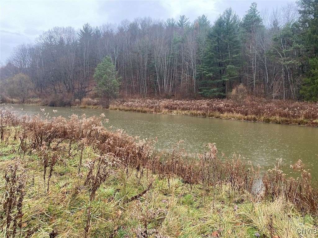 36 Acres of Recreational Land for Sale in Friendship, New York