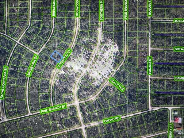 0.25 Acres of Residential Land for Sale in Lake Placid, Florida
