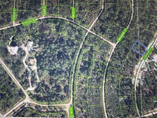 0.25 Acres of Residential Land for Sale in Lake Placid, Florida