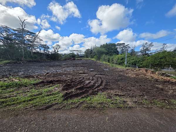 1 Acre of Residential Land for Sale in Keaau, Hawaii