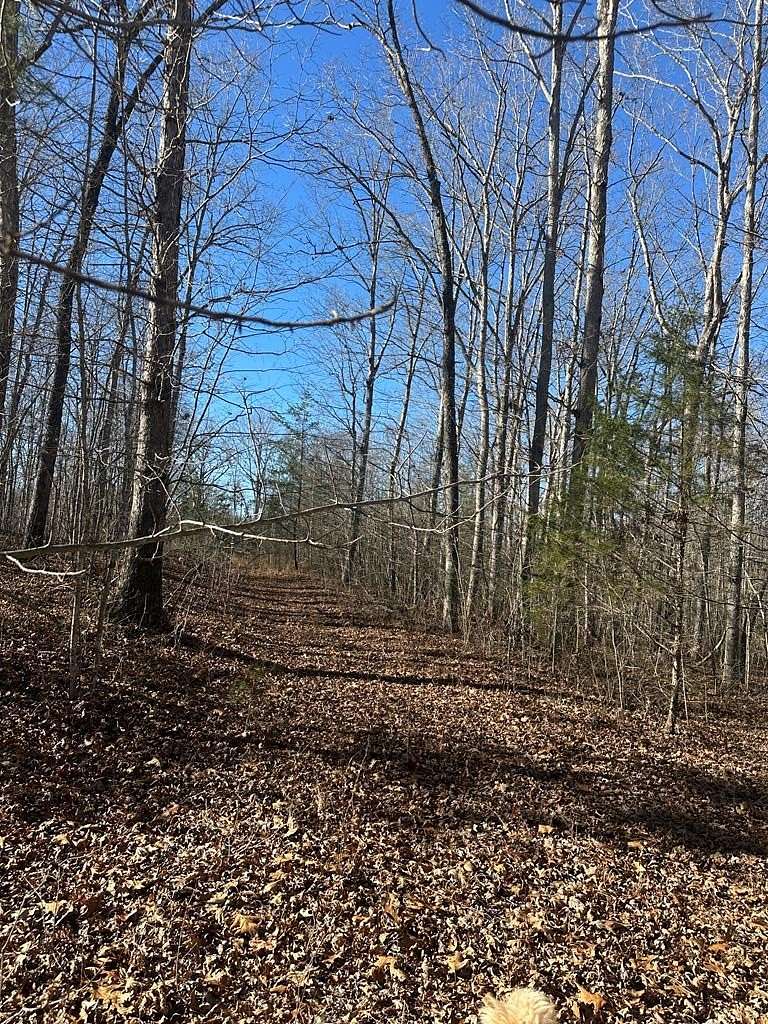 5.68 Acres of Residential Land for Sale in Crawford, Tennessee