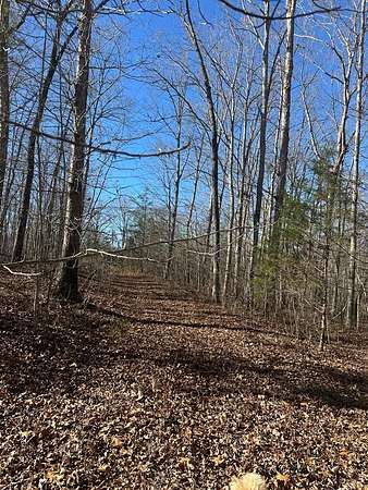 5.68 Acres of Residential Land for Sale in Crawford, Tennessee