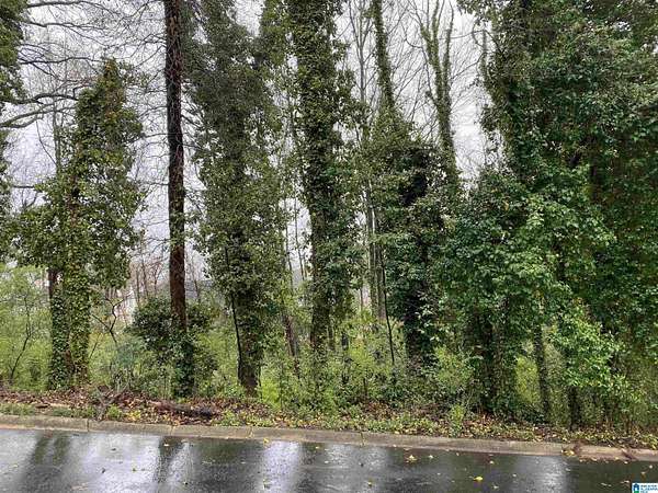 0.26 Acres of Residential Land for Sale in Homewood, Alabama