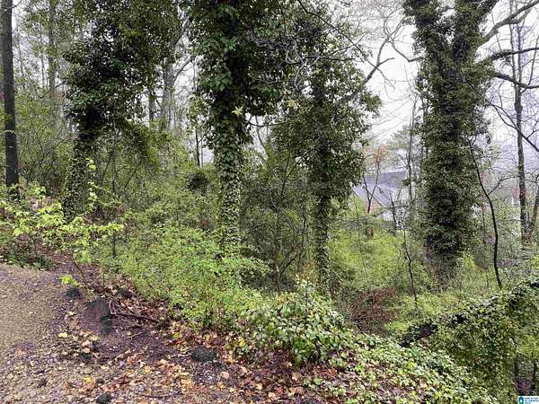 0.26 Acres of Residential Land for Sale in Homewood, Alabama