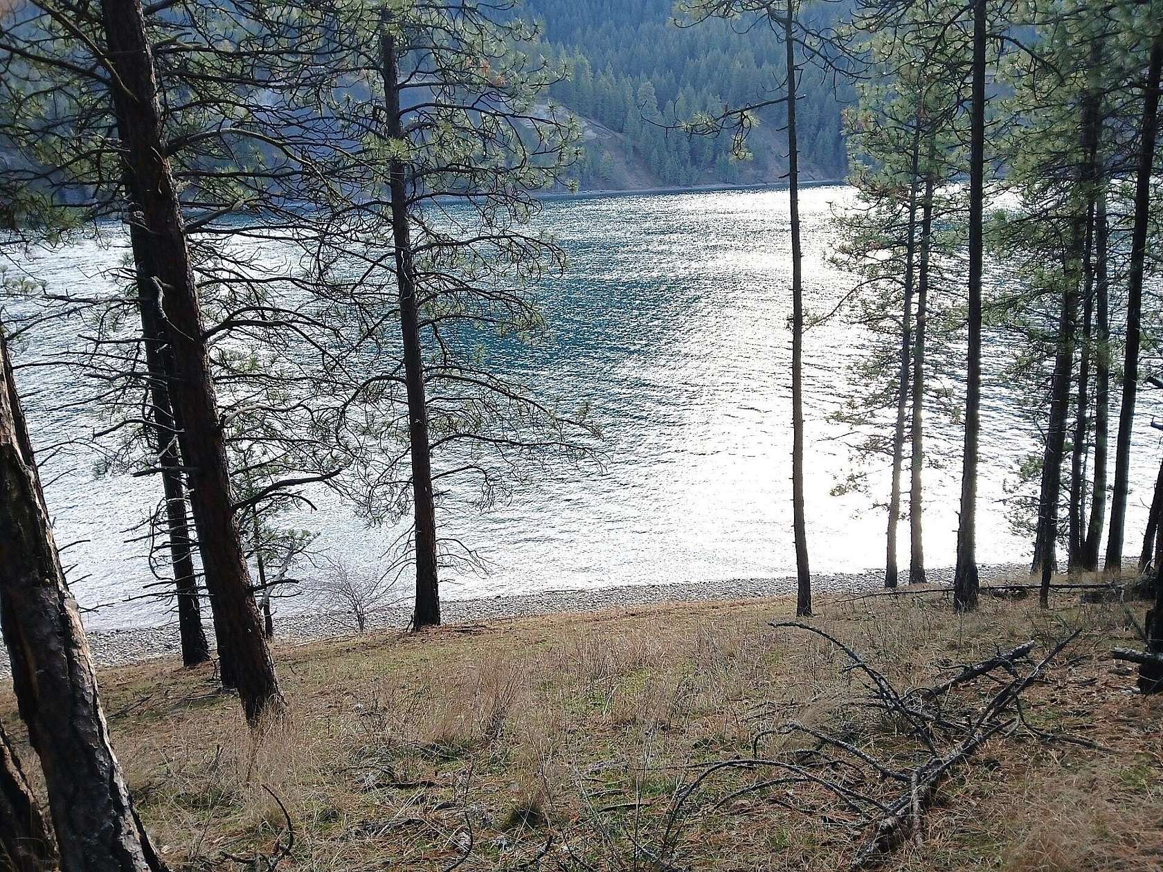 52.4 Acres of Recreational Land for Sale in Kettle Falls, Washington