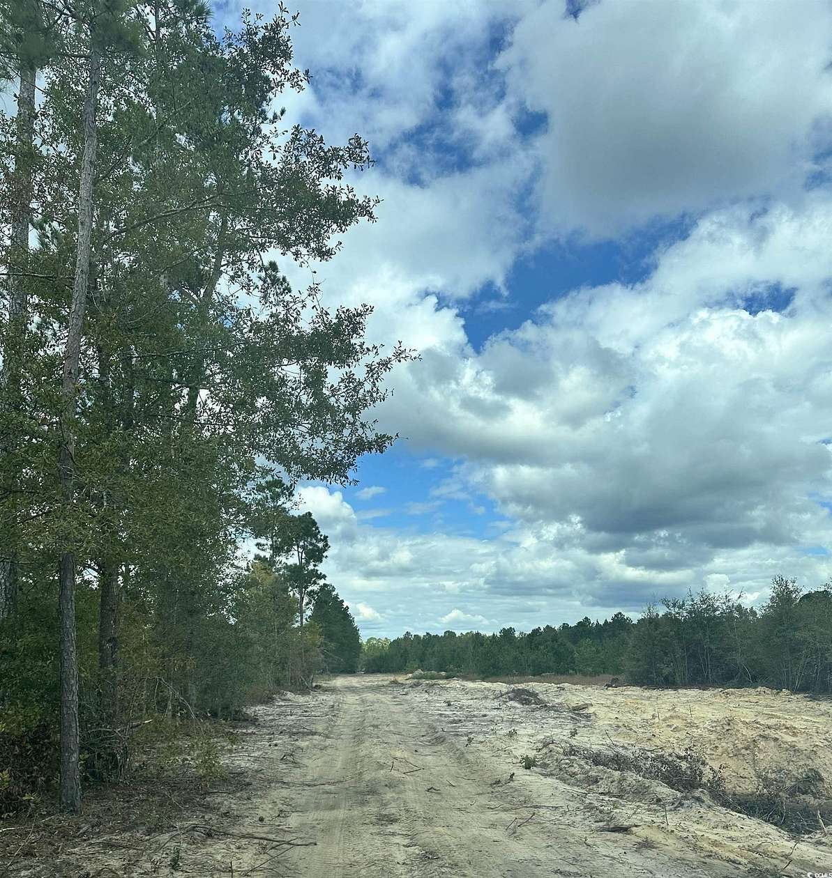 8.9 Acres of Residential Land for Sale in Nichols, South Carolina