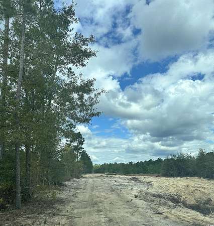 8.9 Acres of Residential Land for Sale in Nichols, South Carolina
