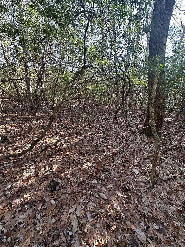 5.33 Acres of Land for Sale in Crawford, Tennessee