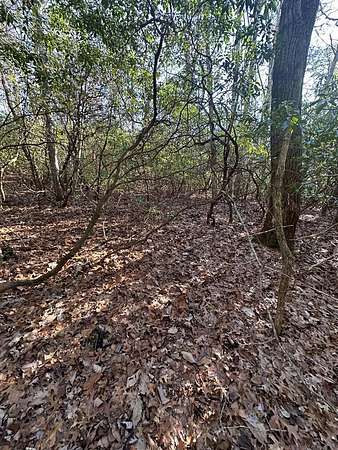 5.33 Acres of Land for Sale in Crawford, Tennessee