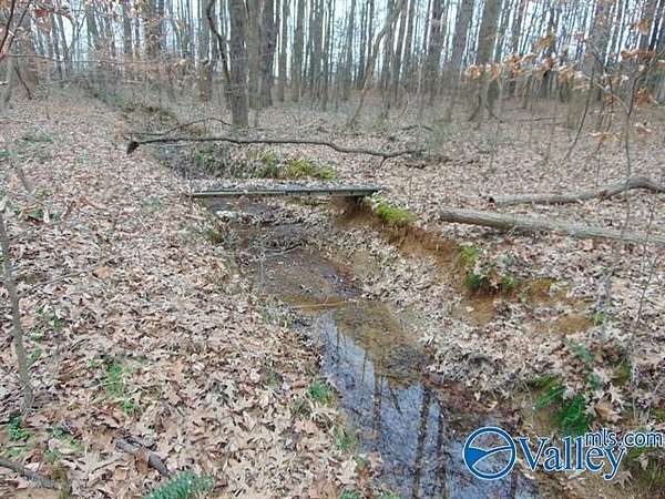 11 Acres of Recreational Land for Sale in Hazel Green, Alabama