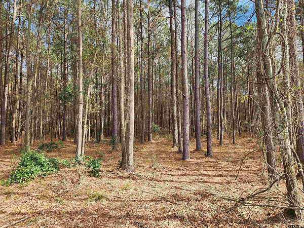 2 Acres of Residential Land for Sale in Pittsburg, Texas