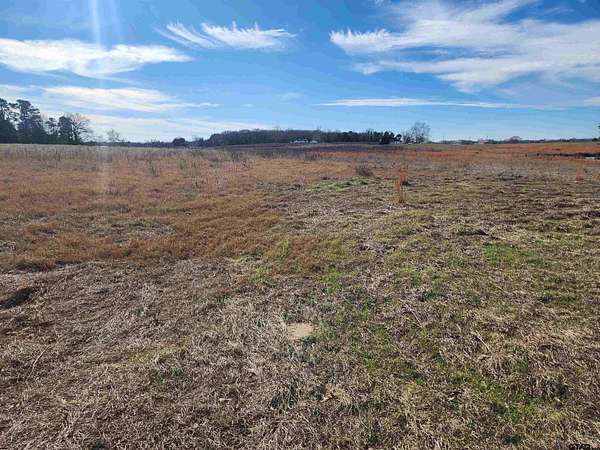 2.67 Acres of Residential Land for Sale in Pittsburg, Texas