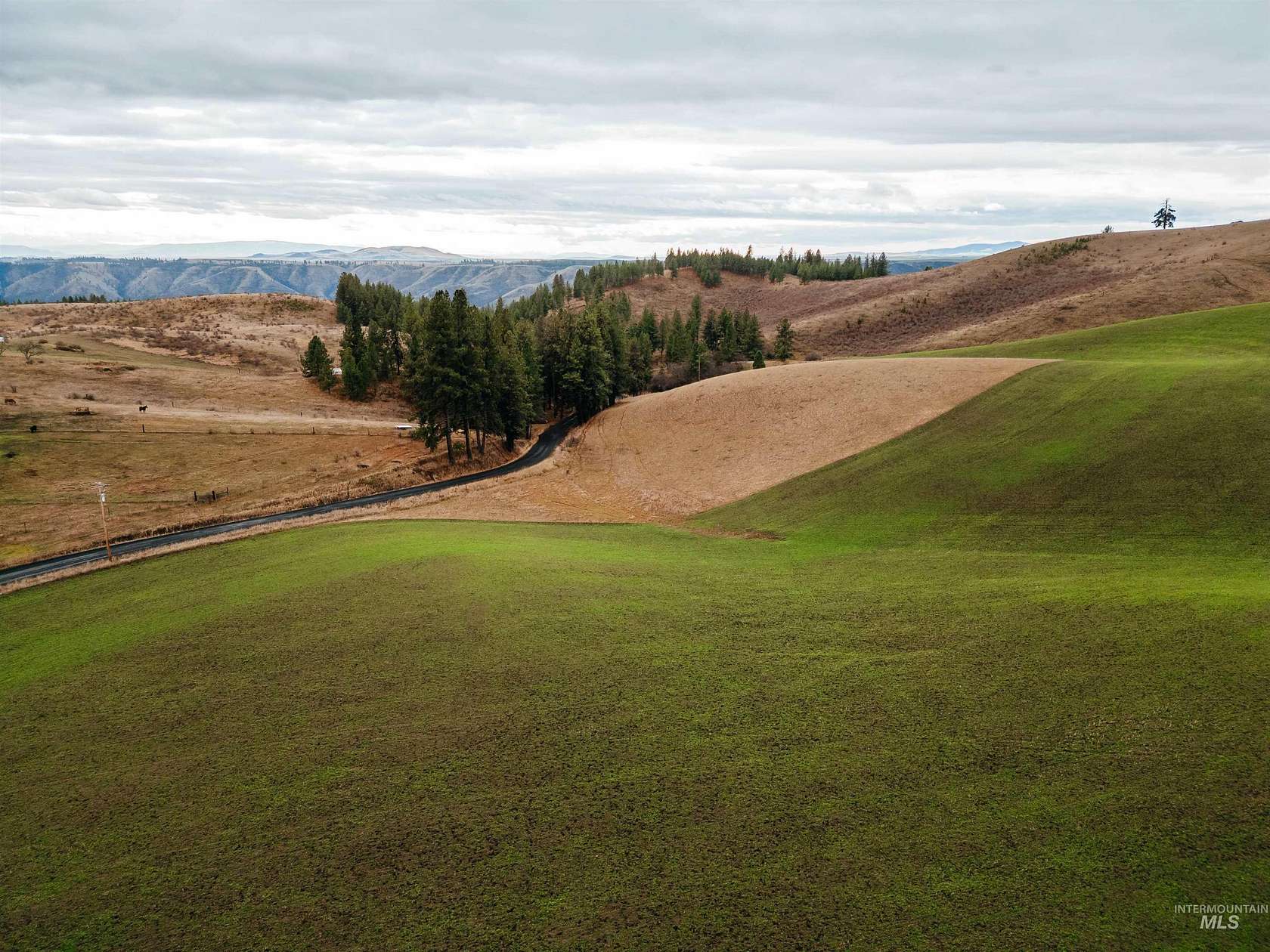 8.87 Acres of Land for Sale in Kamiah, Idaho