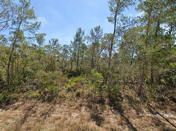 0.23 Acres of Residential Land for Sale in Lake Placid, Florida