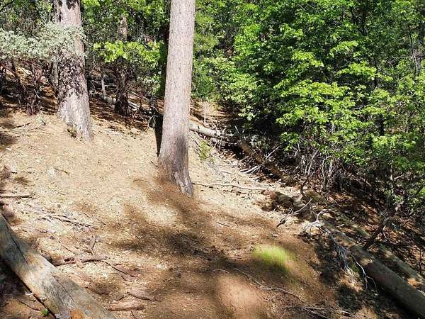 0.39 Acres of Residential Land for Sale in Sonora, California